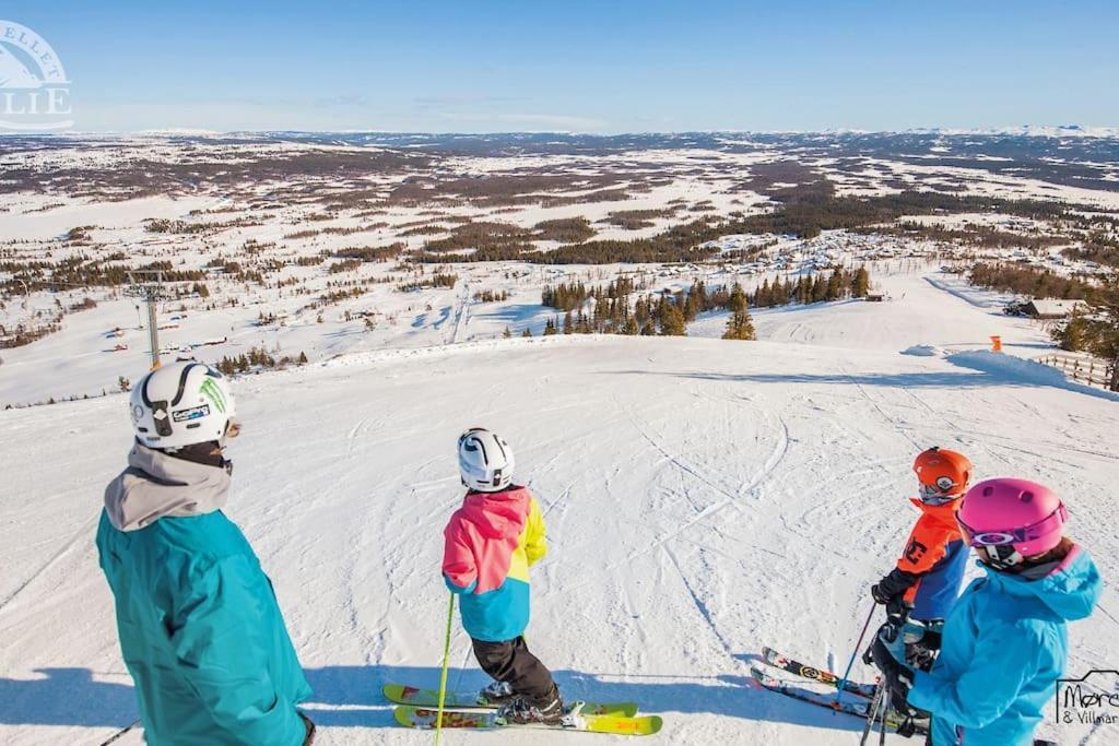 Golsfjellet Bualie: Mountain Resort with Cycling, Fishing, and Ski-In/Ski-Out Access Exterior photo