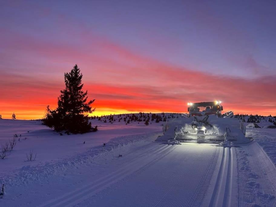 Golsfjellet Bualie: Mountain Resort with Cycling, Fishing, and Ski-In/Ski-Out Access Exterior photo