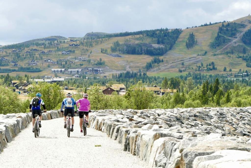 Golsfjellet Bualie: Mountain Resort with Cycling, Fishing, and Ski-In/Ski-Out Access Exterior photo